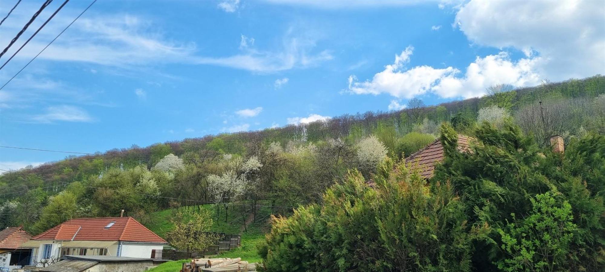 Hos Vendeghaz Miskolc -Oenallo Vendeghaz, Mely Csak Az Oenoeke Dış mekan fotoğraf